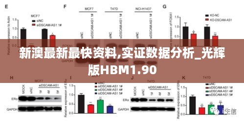 新澳最新最快资料,实证数据分析_光辉版HBM1.90