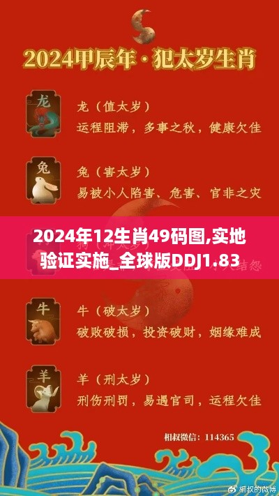 2024年12生肖49码图,实地验证实施_全球版DDJ1.83