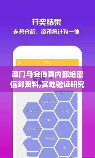 澳门马会传真内部绝密信封资料,实地验证研究方案_赛博版SYN1.59