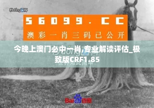 今晚上澳门必中一肖,专业解读评估_极致版CRF1.85