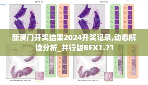 新澳门开奖结果2024开奖记录,动态解读分析_并行版BFX1.71