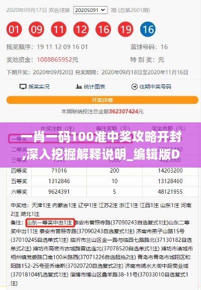 一肖一码100准中奖攻略开封,深入挖掘解释说明_编辑版DUM1.55