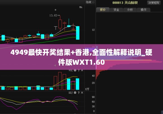 4949最快开奖结果+香港,全面性解释说明_硬件版WXT1.60