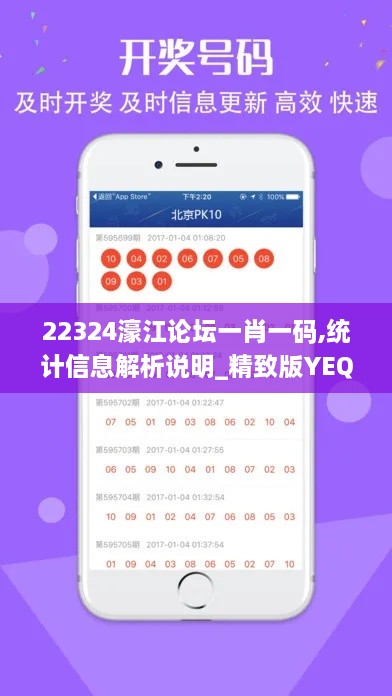 22324濠江论坛一肖一码,统计信息解析说明_精致版YEQ1.45