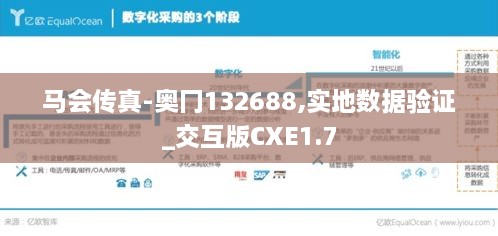 马会传真-奥冂132688,实地数据验证_交互版CXE1.7