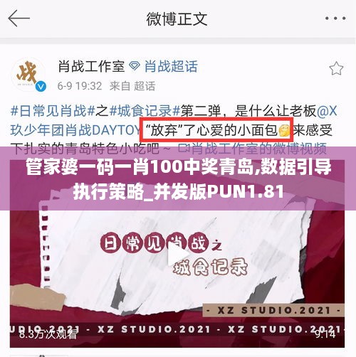 管家婆一码一肖100中奖青岛,数据引导执行策略_并发版PUN1.81