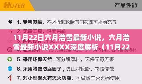 六月浩雪最新小说深度解析，XXXX（最新更新日期）