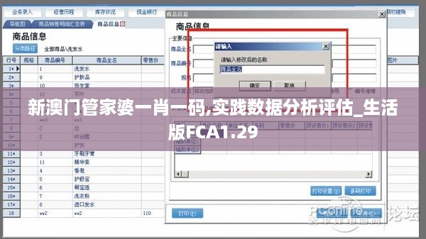 新澳门管家婆一肖一码,实践数据分析评估_生活版FCA1.29