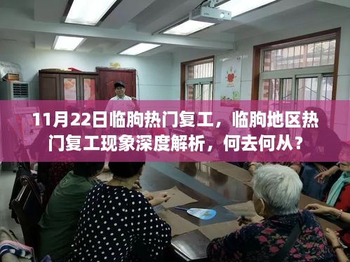 临朐地区热门复工现象深度解析，何去何从？