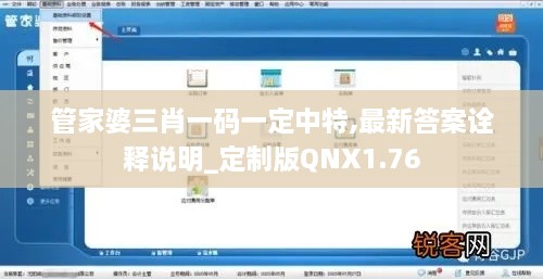 管家婆三肖一码一定中特,最新答案诠释说明_定制版QNX1.76