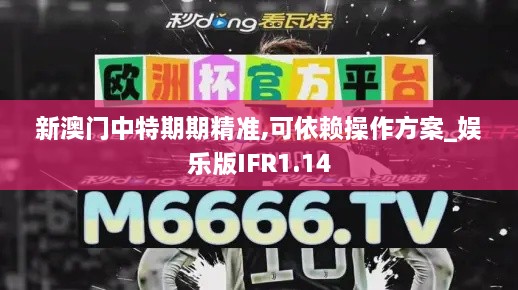 新澳门中特期期精准,可依赖操作方案_娱乐版IFR1.14