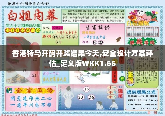 香港特马开码开奖结果今天,安全设计方案评估_定义版WKK1.66