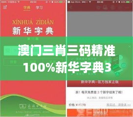 澳门三肖三码精准100%新华字典330期,系统分析方案设计_远光版DKK11.90