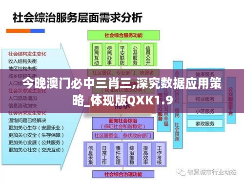 今晚澳门必中三肖三,深究数据应用策略_体现版QXK1.9