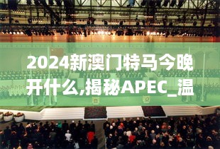 2024新澳门特马今晚开什么,揭秘APEC_温馨版IMV1.78