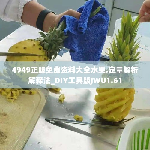 4949正版免费资料大全水果,定量解析解释法_DIY工具版JWU1.61