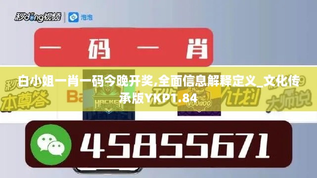 白小姐一肖一码今晚开奖,全面信息解释定义_文化传承版YKP1.84