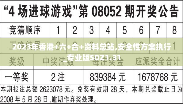 2023年香港+六+合+资料总站,安全性方案执行_专业版SDZ1.31