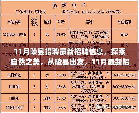 11月陵县最新招聘，探索自然之美，宁静之旅启程