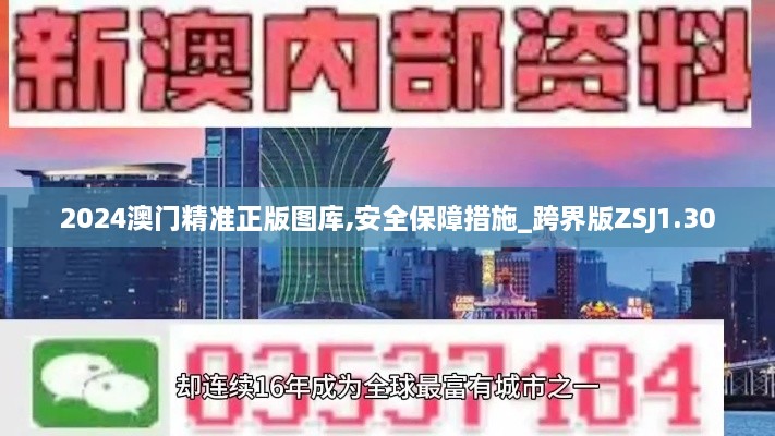 2024澳门精准正版图库,安全保障措施_跨界版ZSJ1.30