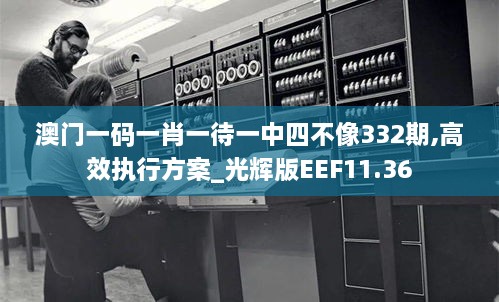 澳门一码一肖一待一中四不像332期,高效执行方案_光辉版EEF11.36