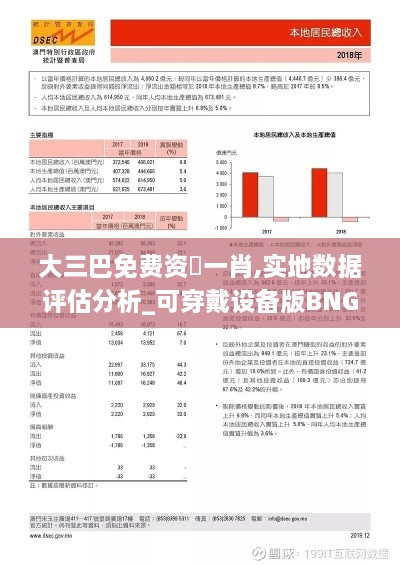 大三巴免费资枓一肖,实地数据评估分析_可穿戴设备版BNG1.25