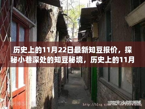 历史上的11月22日，探秘小巷深处的知豆秘境，最新报价之旅。