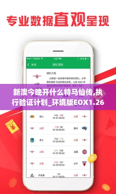 新澳今晚开什么特马仙传,执行验证计划_环境版EOX1.26