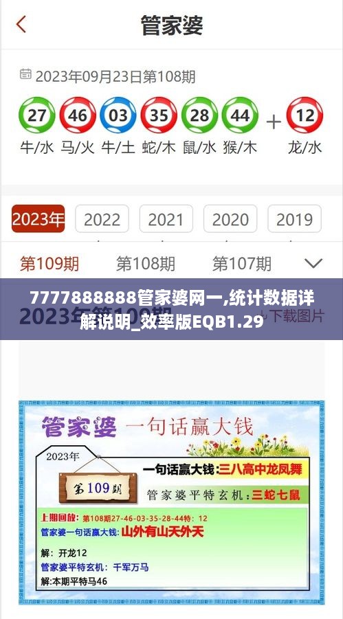 7777888888管家婆网一,统计数据详解说明_效率版EQB1.29