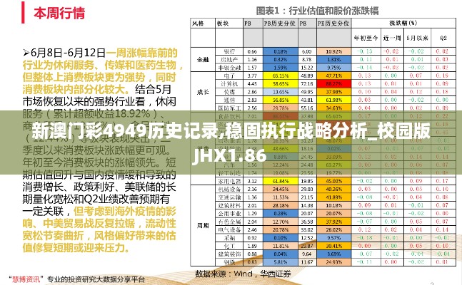 新澳门彩4949历史记录,稳固执行战略分析_校园版JHX1.86