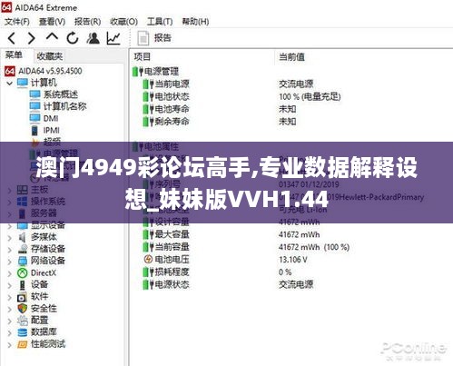 澳门4949彩论坛高手,专业数据解释设想_妹妹版VVH1.44