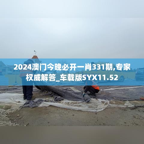 2024澳门今晚必开一肖331期,专家权威解答_车载版SYX11.52