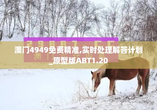 澳门4949免费精准,实时处理解答计划_原型版ABT1.20