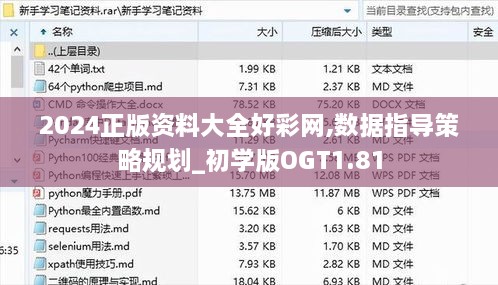 2024正版资料大全好彩网,数据指导策略规划_初学版OGT1.81