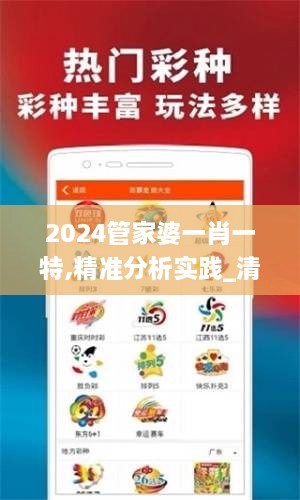 2024管家婆一肖一特,精准分析实践_清晰版HFD1.41