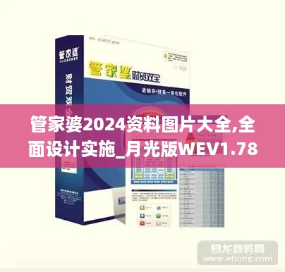 管家婆2024资料图片大全,全面设计实施_月光版WEV1.78