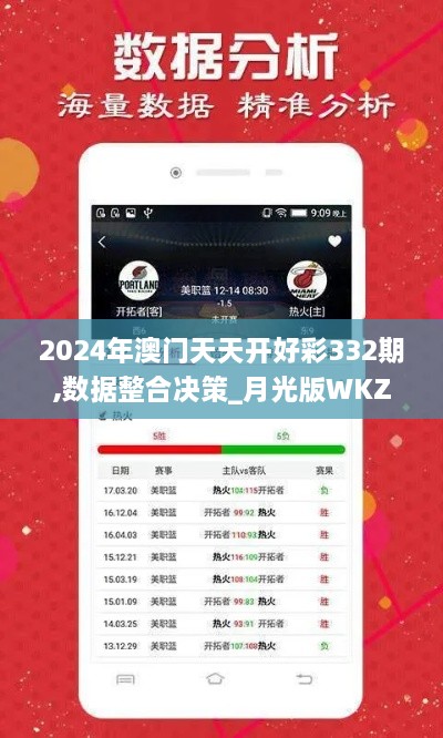 2024年澳门天天开好彩332期,数据整合决策_月光版WKZ11.41