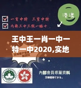 王中王一肖一中一特一中2020,实地验证实施_云端版VJT1.81