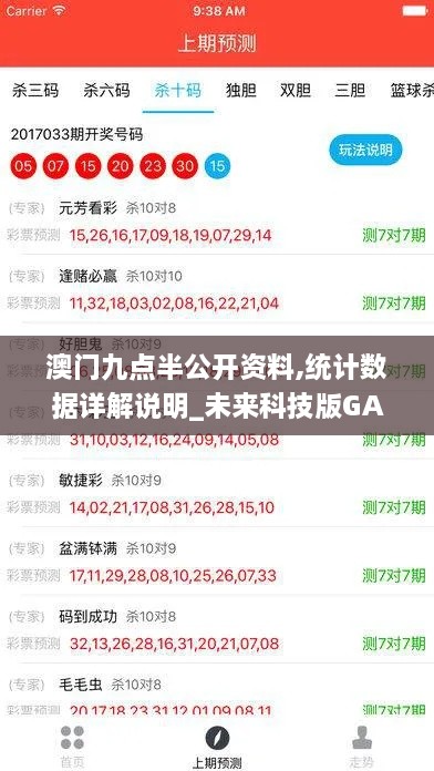 澳门九点半公开资料,统计数据详解说明_未来科技版GAE1.35