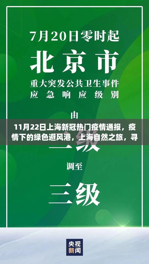 11月22日上海新冠热门疫情通报，疫情下的绿色避风港，上海自然之旅，寻找内心的宁静与平和