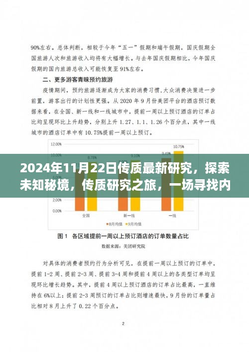 探索未知秘境，传质研究的奇妙之旅，最新研究成果揭晓（日期，2024年11月22日）