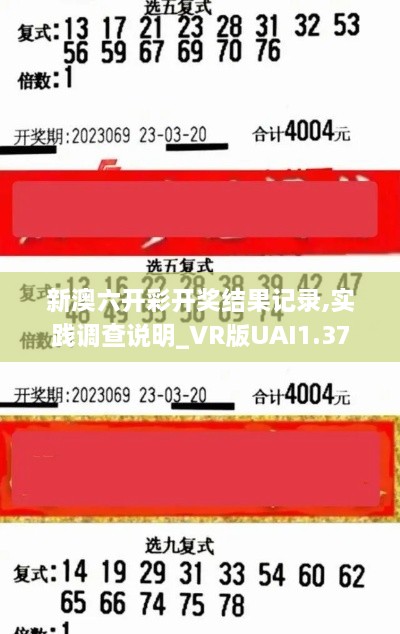 新澳六开彩开奖结果记录,实践调查说明_VR版UAI1.37