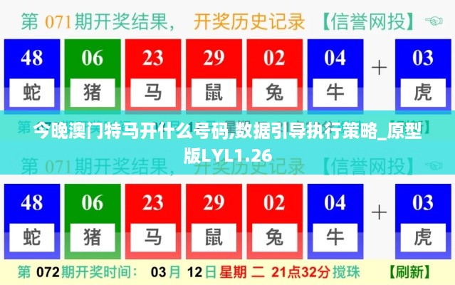 今晚澳门特马开什么号码,数据引导执行策略_原型版LYL1.26