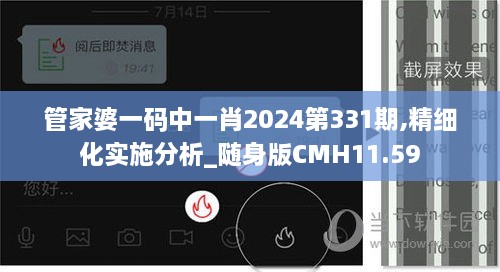 管家婆一码中一肖2024第331期,精细化实施分析_随身版CMH11.59