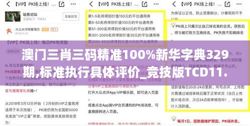 澳门三肖三码精准100%新华字典329期,标准执行具体评价_竞技版TCD11.23