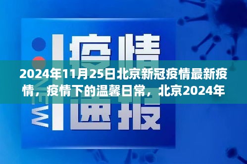 北京新冠疫情最新动态，抗疫故事中的温馨日常（2024年11月25日）