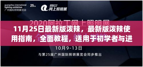 泼辣软件最新版全面指南，从初学者到进阶用户的使用教程