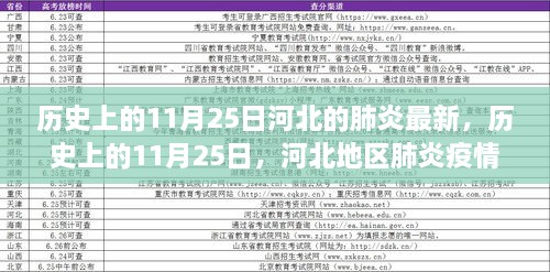 历史上的11月25日河北肺炎疫情发展纪实，最新动态与疫情纪实