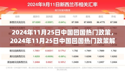 2024年11月25日中国回国热门政策解读