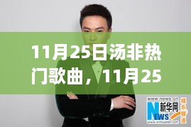 11月25日汤非热门歌曲，音乐热议风暴